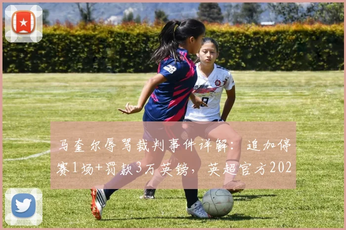 马奎尔辱骂裁判事件详解:追加停赛1场+罚款3万英镑,英超官方2026年处罚决定引热议